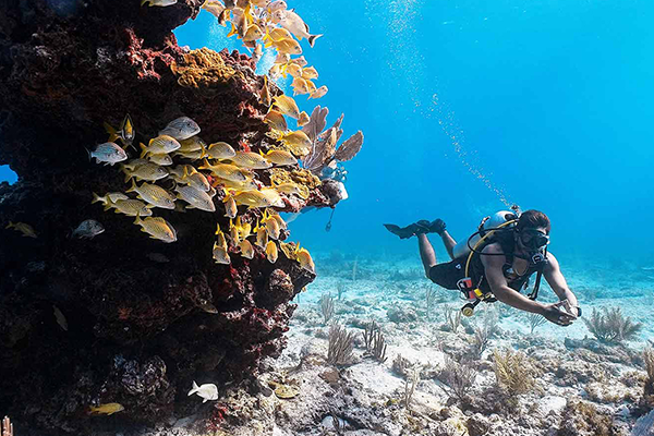 Manchones Reef 1 Tank